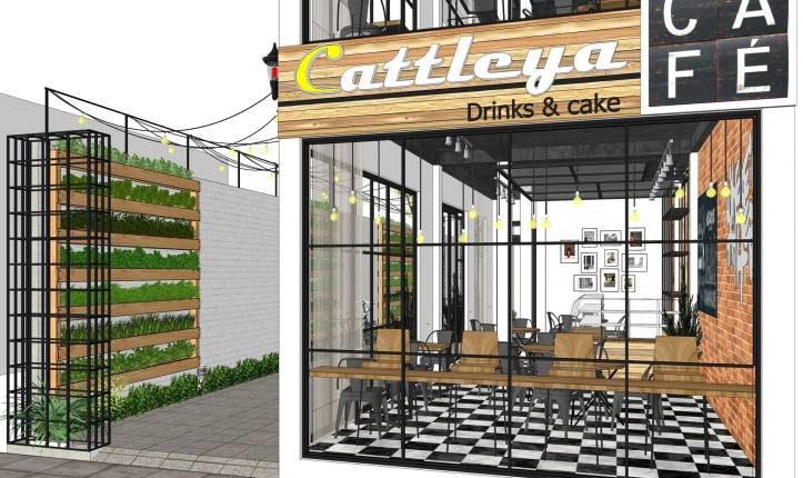Free Download 3d Model Cafe Cattleya Scene_3dzip (2)