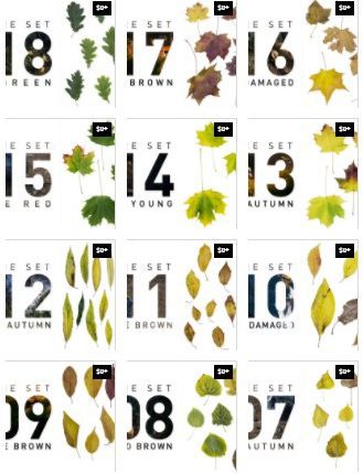 Free-amazing-Nature-set-from-Wojciech-Piwowarczyk2