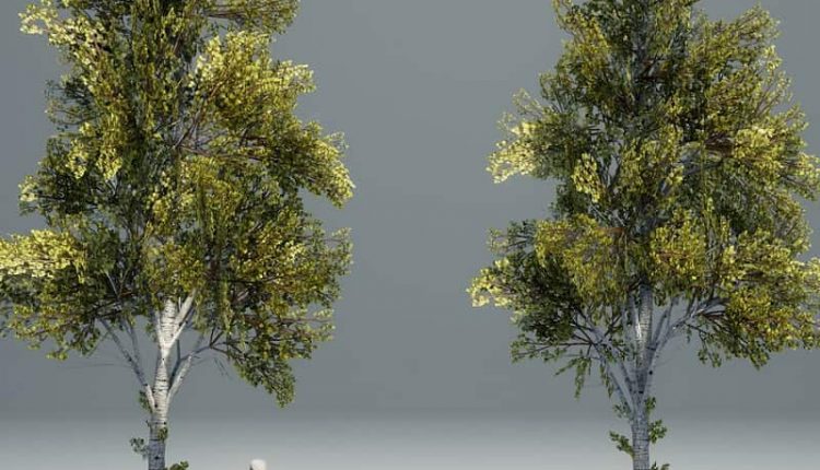 Gumroad_TreePackImage_3