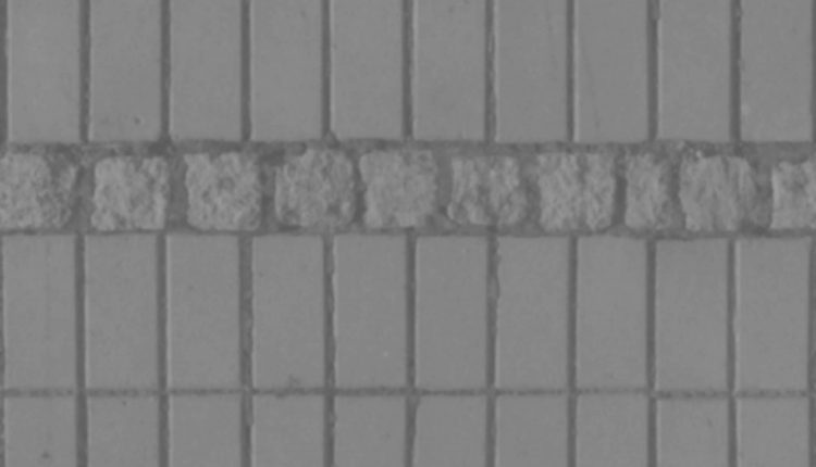 brick pavement_1
