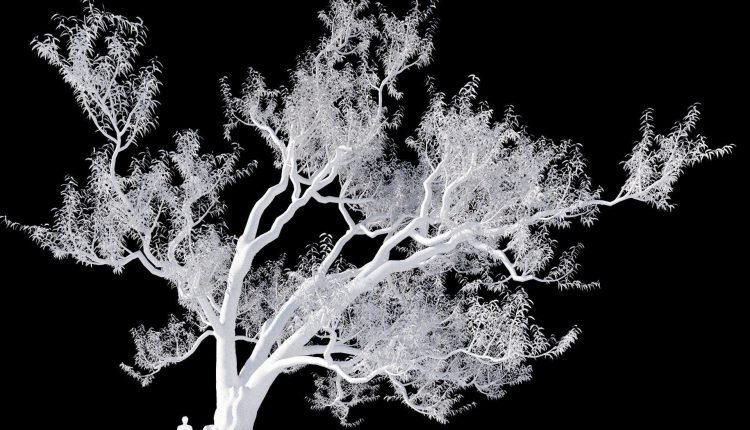 3d Tree Plants Model 332 Free Download 5