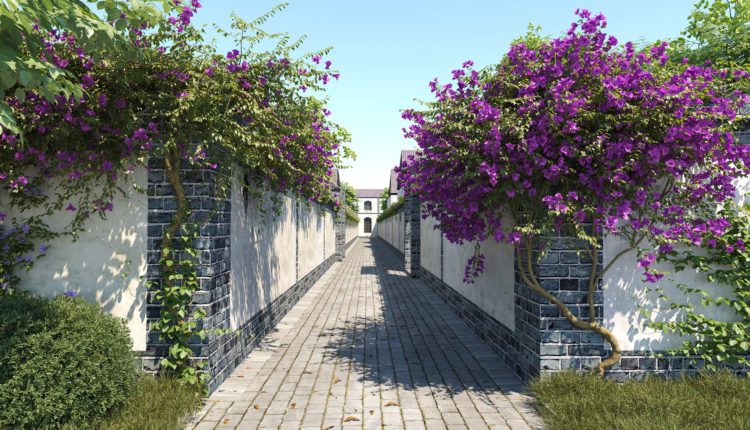 3d Plant Model 387 Free Download By Den Nguyen 1