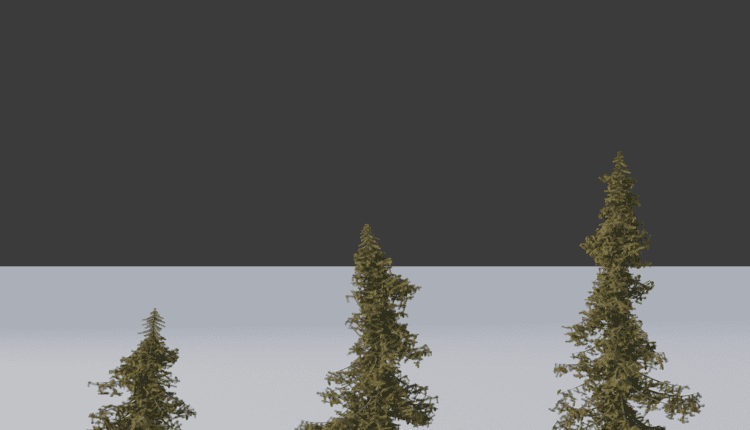 Pine_1