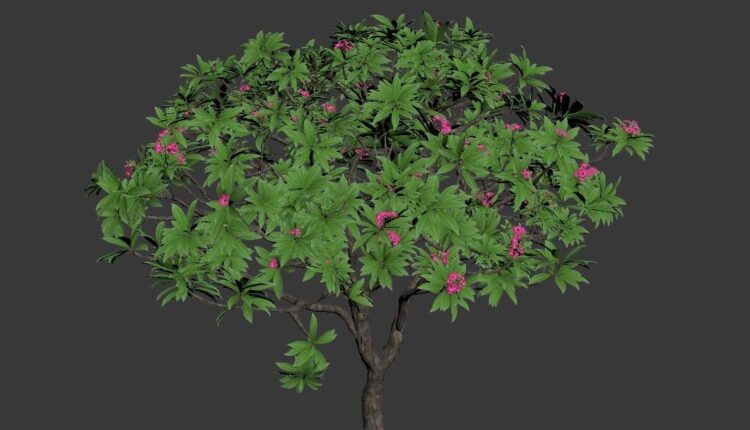 3d Cay Hoa Su Model 404 by Lee Huy Hieu Free Download-1 (1)