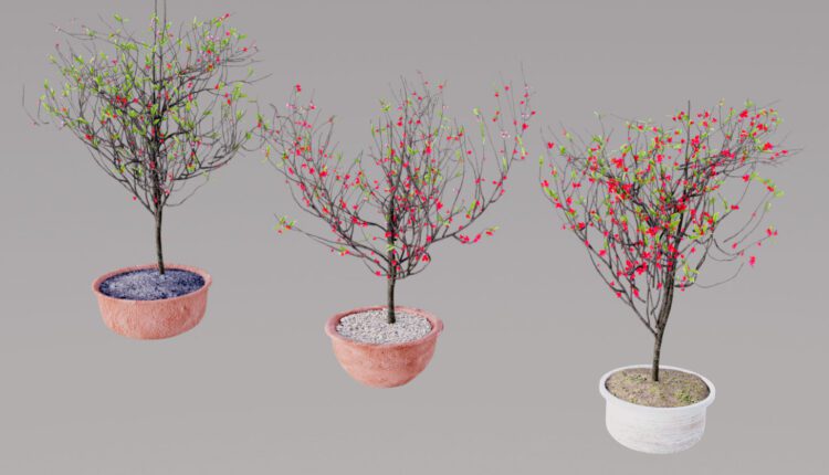 3d Cây Đào Ngày Tết Model 412 Free Download