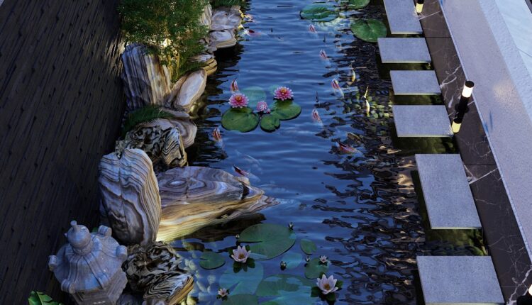 3D Koi Aquarium Model 3dsmax Download Robert Pham