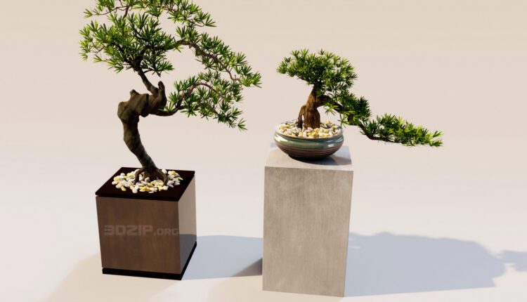 3d Bonsai Plants Model 418 Free Download