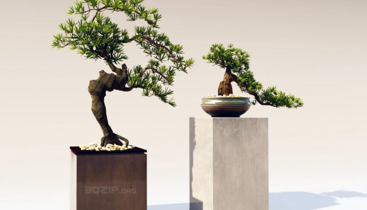 3d Bonsai Plants Model 418 Free Download