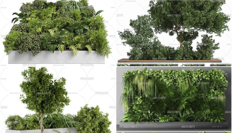 3d Plants Model 419 Free Download