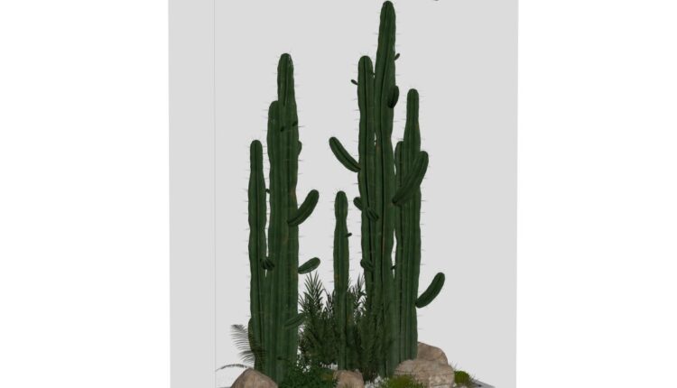 10310. Download Free Plant Model By Hoang Son