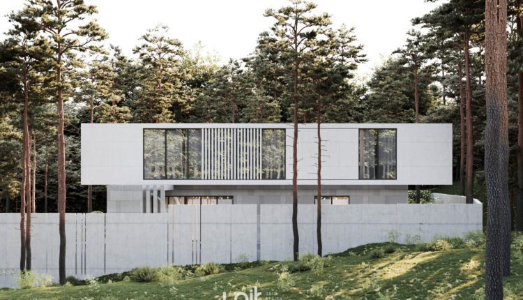 12413. 3D Villa Exterior Model Download By Tam An