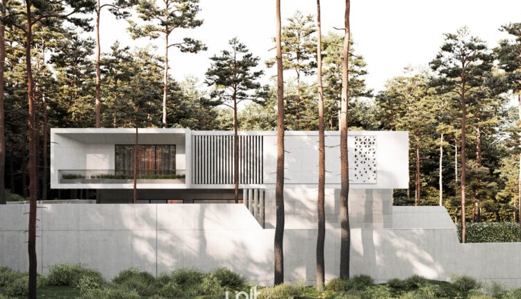 12413. 3D Villa Exterior Model Download By Tam An