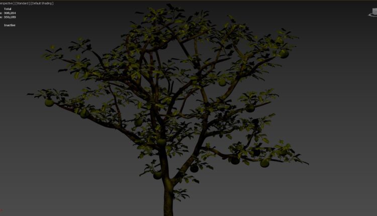 11182. 3D Model Cay Buoi File 3dsmax By Vuong Nguyen (3)