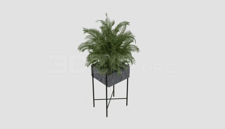 2413. Download Free Plant Model By Khoi Megalomaniac
