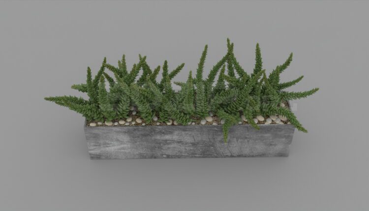 3064. Free 3D Plant Model Download