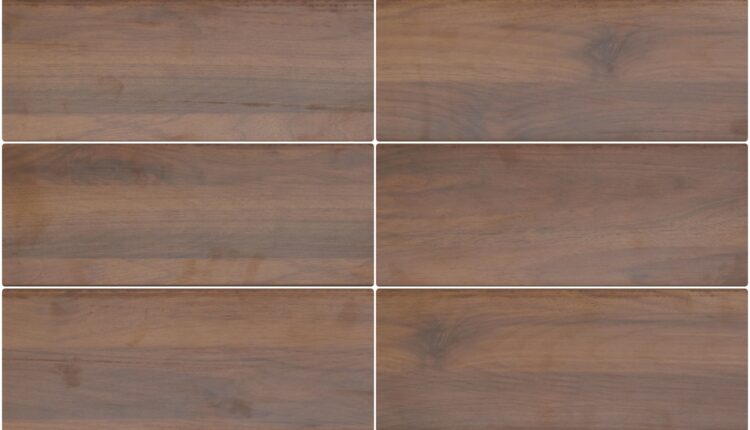 11259. Free Download High-Quality Wood Textures