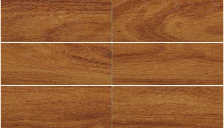 11261. Free Download High-Quality Wood Textures