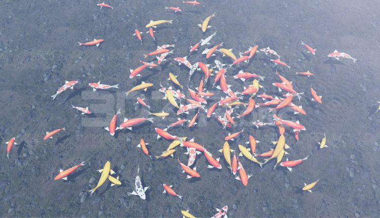 11294. 3D Model of Koi Aquarium For Download
