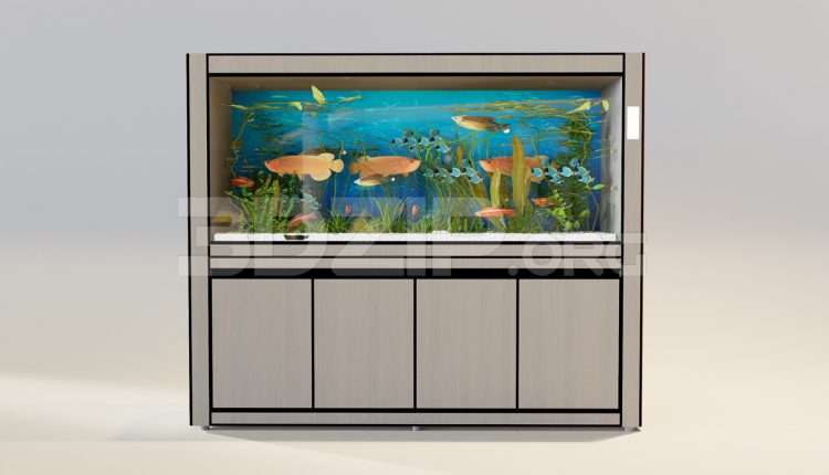 11304. Free 3D Aquarium Model Download
