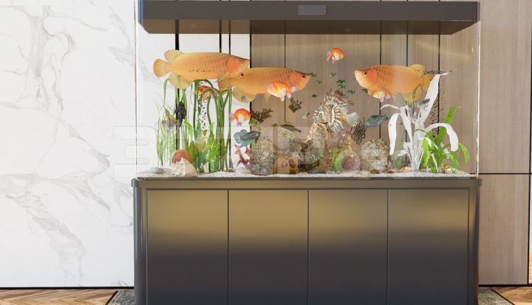 11305. Free 3D Aquarium Model Download