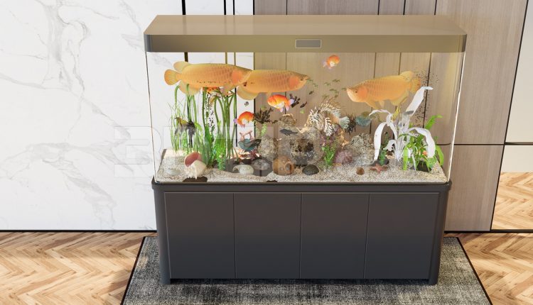11305. Free 3D Aquarium Model Download