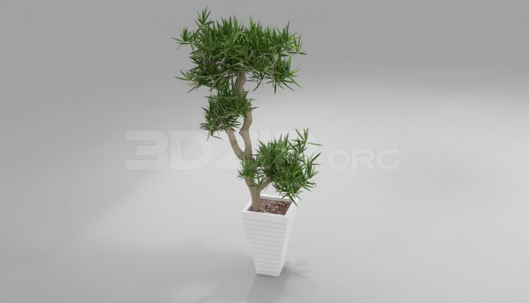 5539. Free 3D Plant Model Download