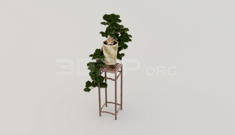 5681. Free 3D BonSai Tree Model Download