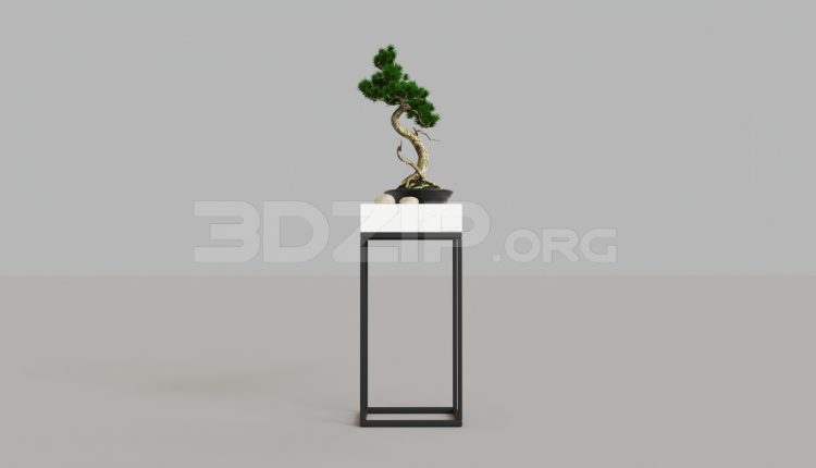 5770. Free 3D BonSai Tree Model Download