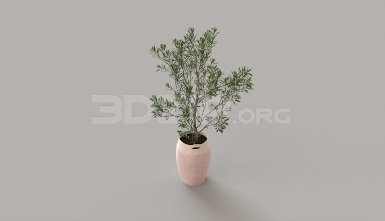 5880. Free 3D Plant Model Download (1)