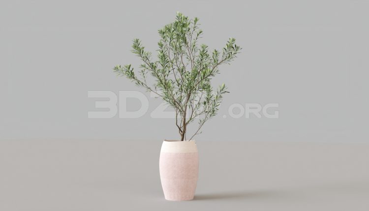 5880. Free 3D Plant Model Download (2)