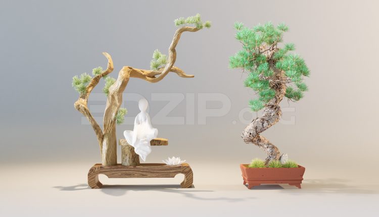 11342. Free 3D Bonsai trees Model Download