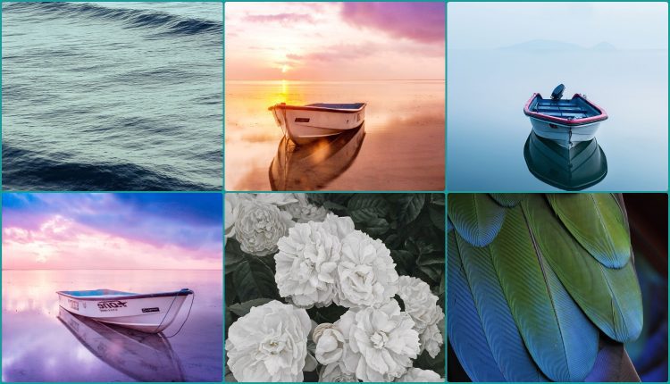 11390. Free Download Canvas Painting By Duc Hai