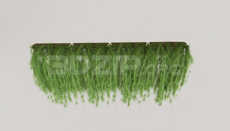 7067. Free 3Ds Max Plant Model Download