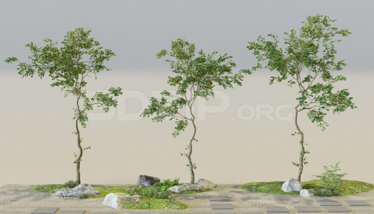 11553. Free download of 3ds Max model for outdoor garden landscape scene
