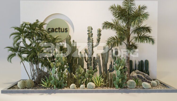 11571. Free 3Ds Max Plants Models Download