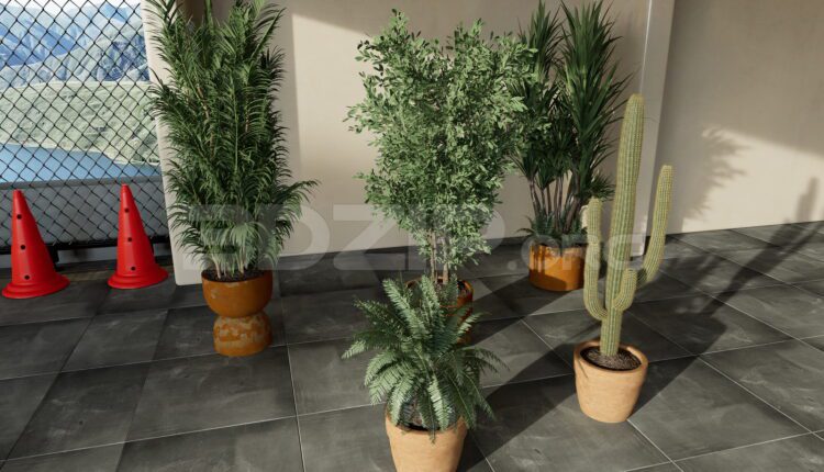 11679. Free 3Ds Max Plants Models Download