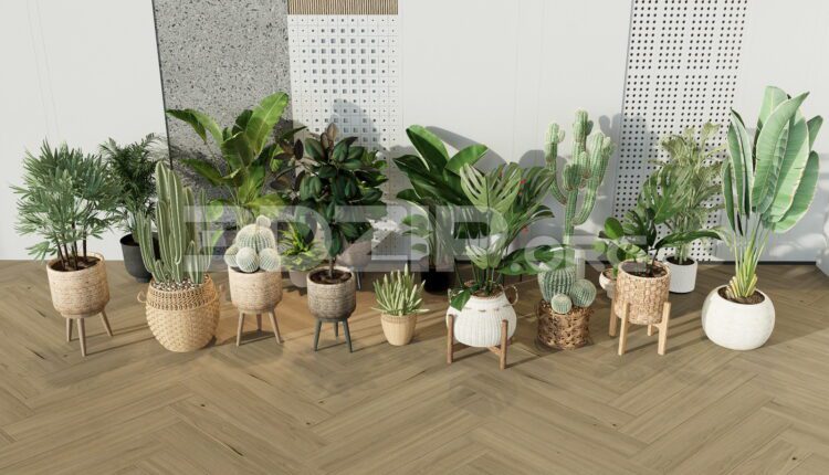 11680. Free 3Ds Max Plants Models Download