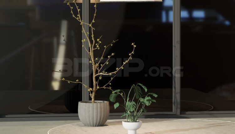 11700. Free 3Ds Max Plant Model Download