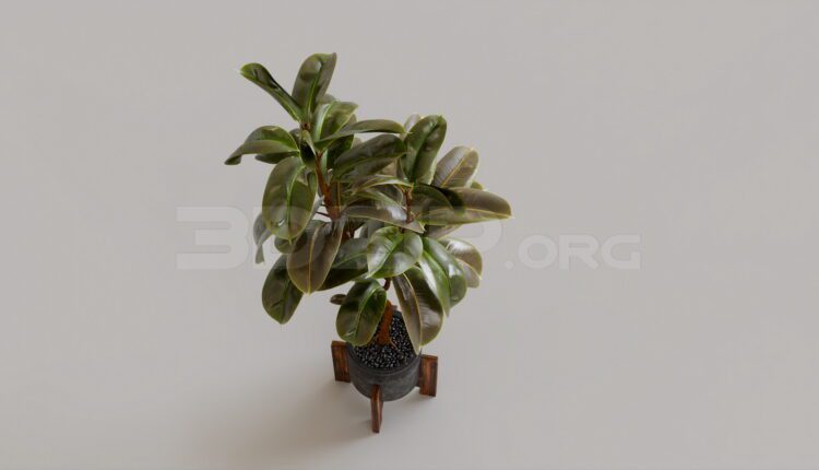 11916. Free 3Ds Max Plant Model Download