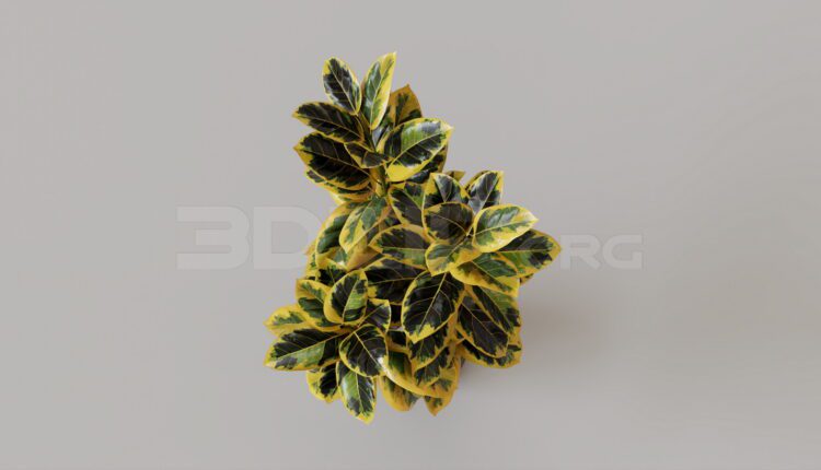 11917. Free 3Ds Max Plant Model Download
