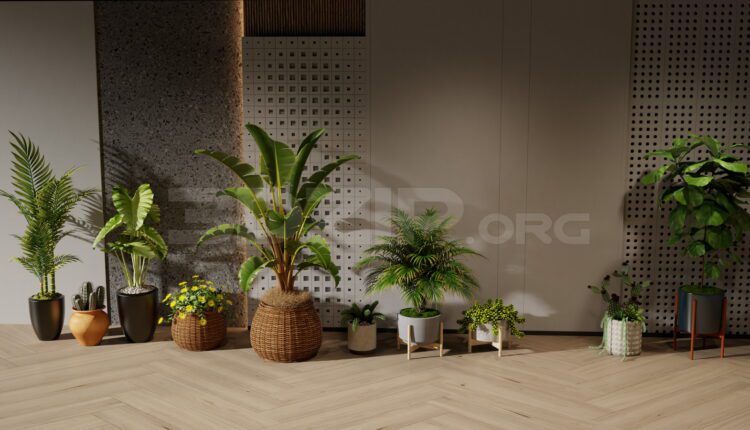 11939. Free 3Ds Max Plants Models Download
