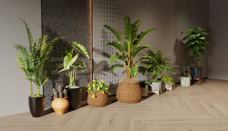 11939. Free 3Ds Max Plants Models Download