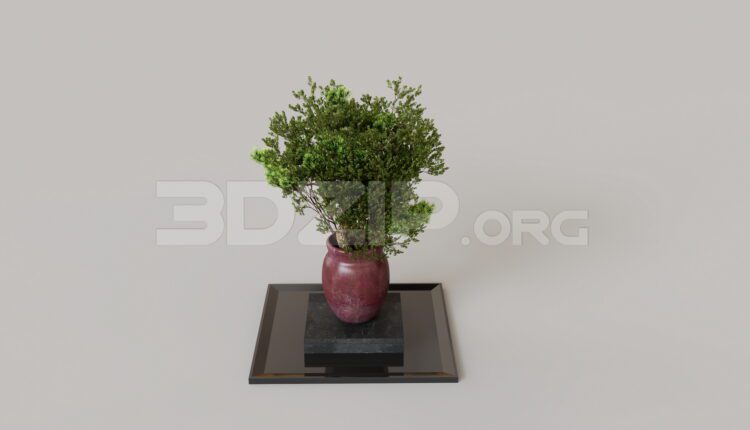 9320. Free 3Ds Max Plant Model Download