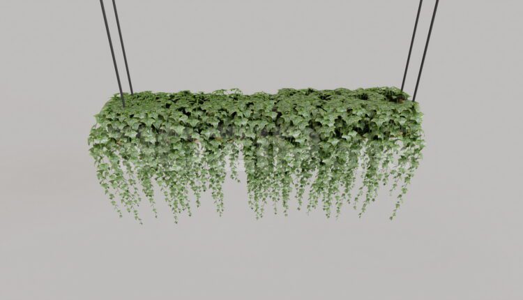 9366. Free 3Ds Max Plant Model Download