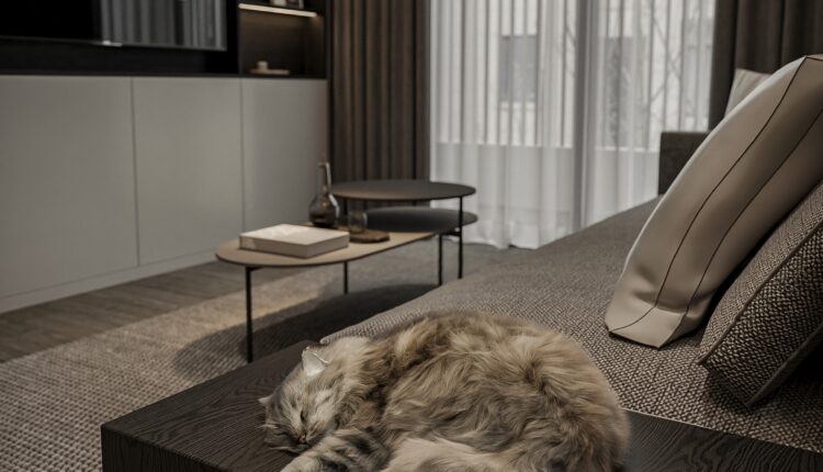 13673. 3Ds Max Apartment Interior Model Download By Dung Coii