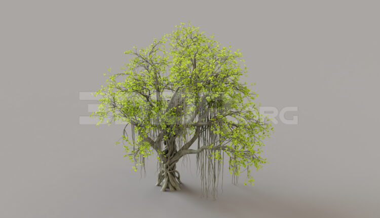 9442. Free 3Ds Max Tree Model Download