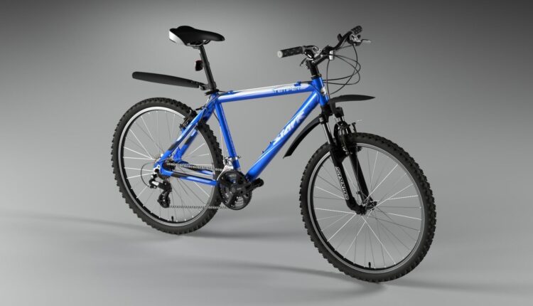 Free 3D Stark Temper Cross-Country Mountain Bike Model by Semyon Filippov (3)
