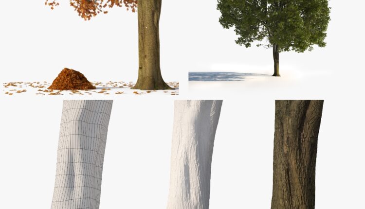 Free Maple Tree No.1 from Mellowmesher