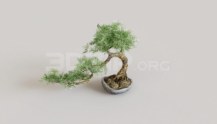 15022. Free 3Ds Max BonSai Model Download