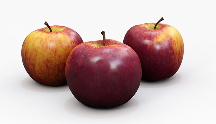Download Free 3D Apple fruit Model by Blenderboom